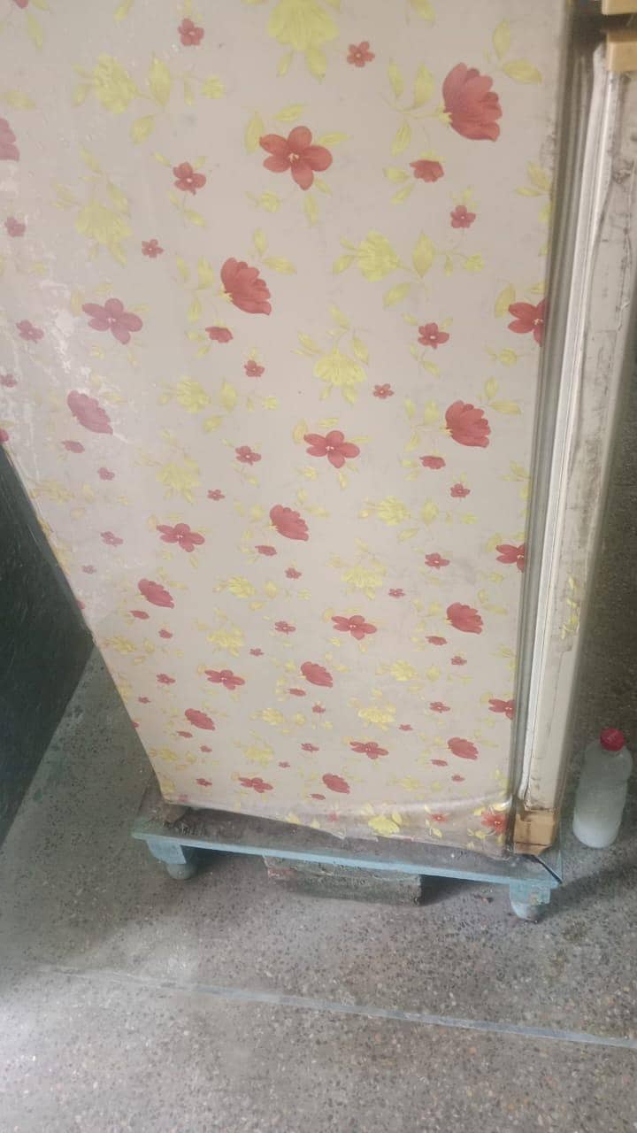 fridge 4