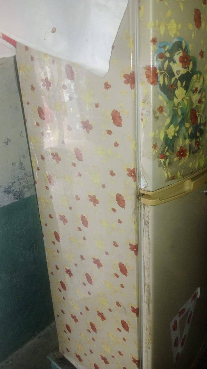 fridge 5