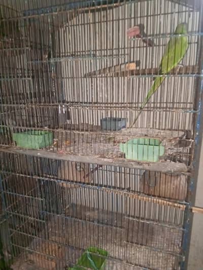 urgent sale