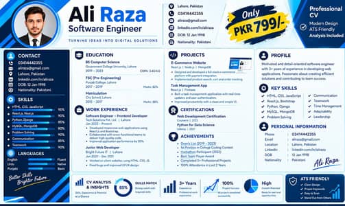 PROFESSIONAL CV DESIGNER