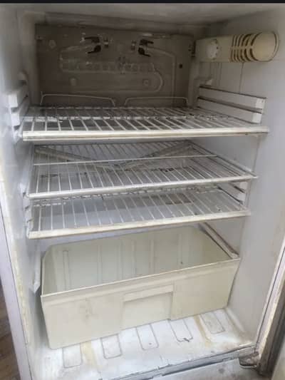 PEL FREEJ 27000