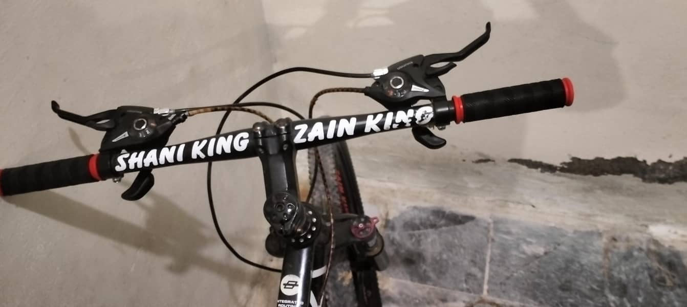 bicycle 1