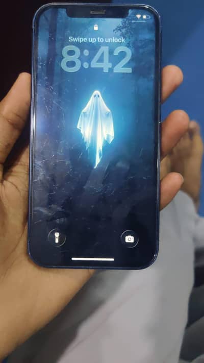 Apple iPhone 12