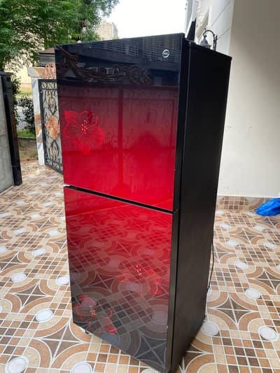 PEL Desire Glass door