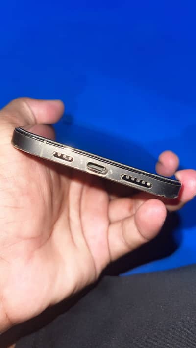 Apple iPhone 12 Pro Max