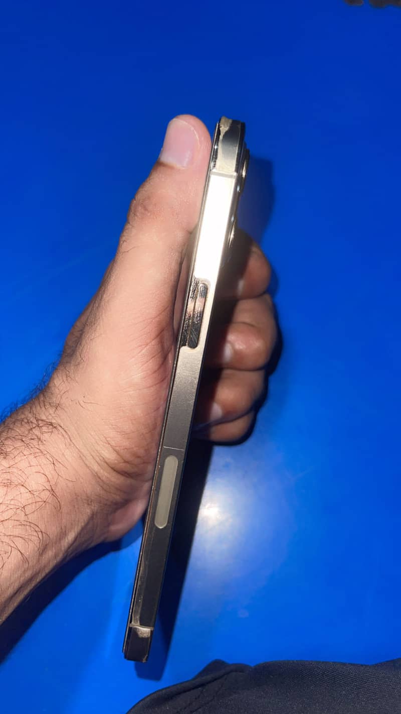 Apple iPhone 12 Pro Max 1