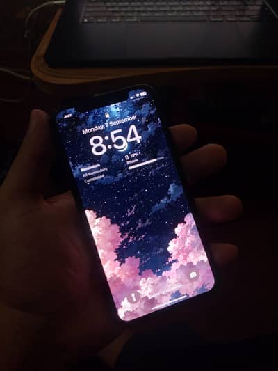 Apple iPhone X