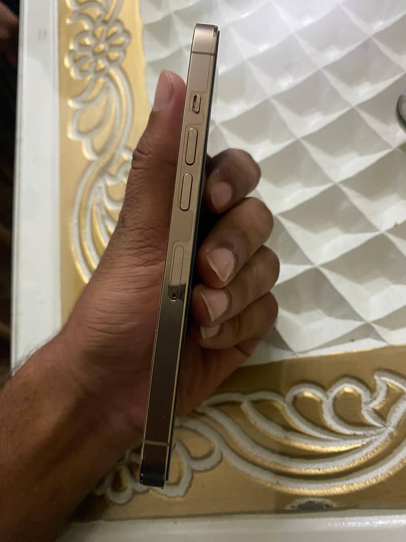 Apple iPhone 13 Pro 1