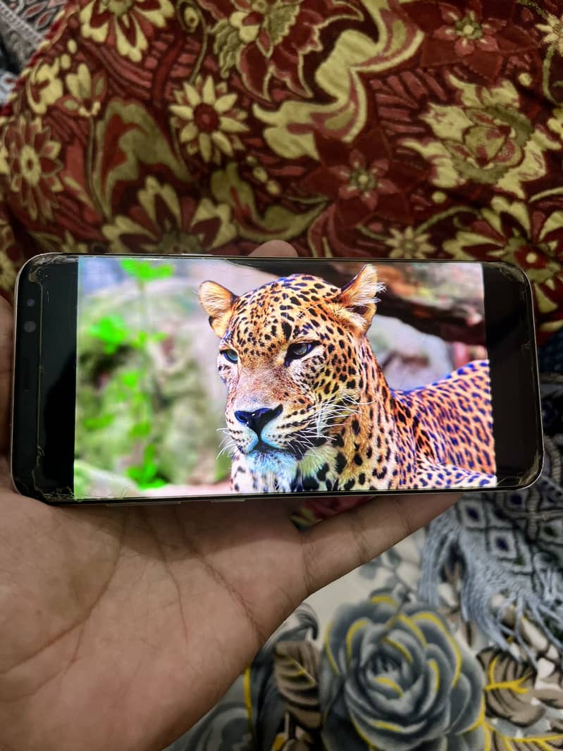 Samsung S8 Plus 5