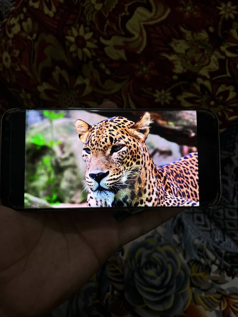 Samsung S8 Plus 6