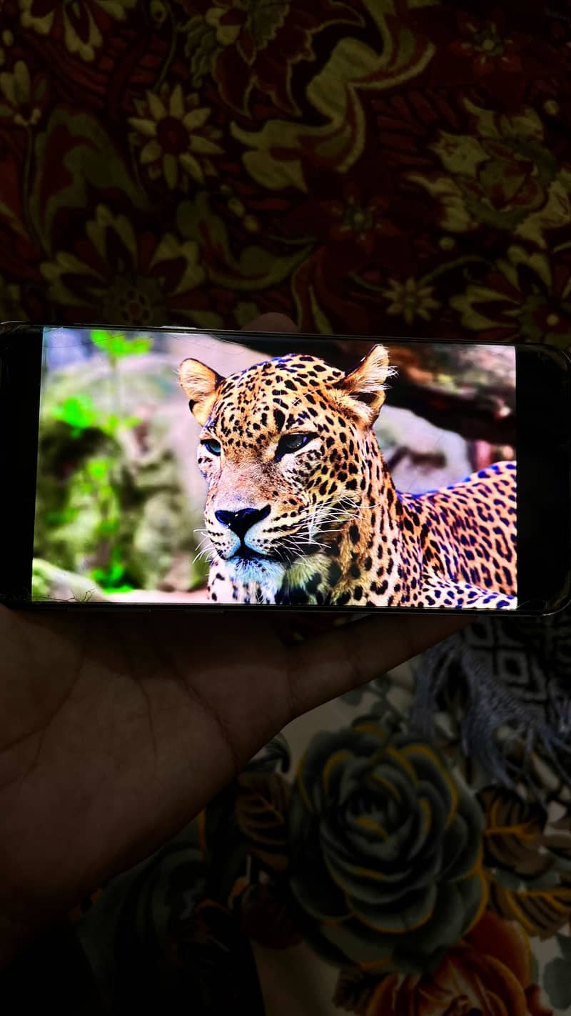 Samsung S8 Plus 7