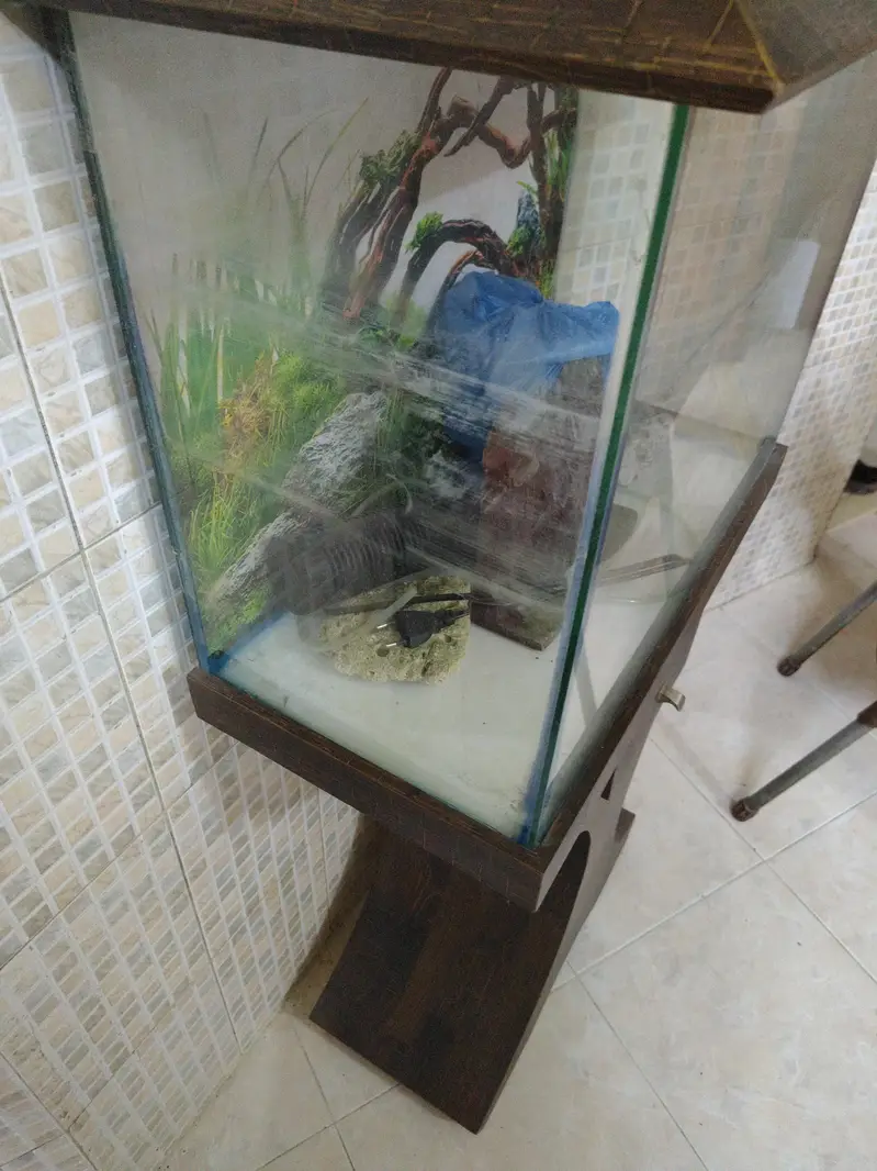 Fish Aquarium for Sale Good Condition — photo 2