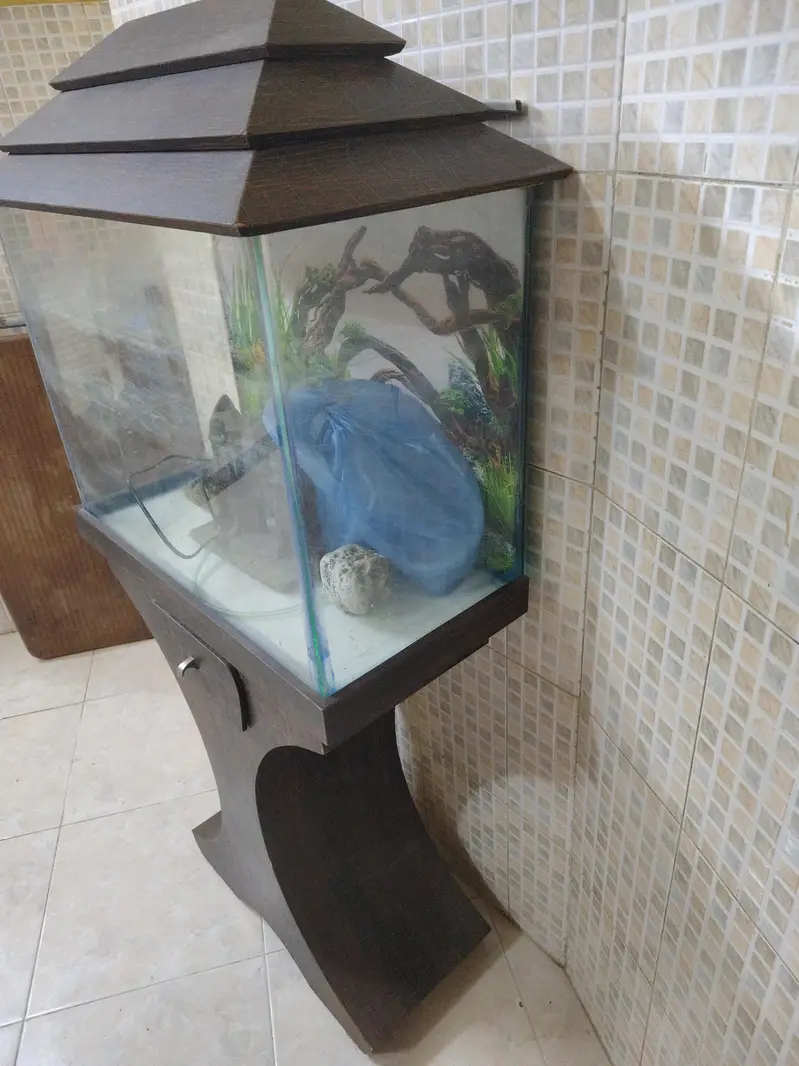 Fish Aquarium for Sale Good Condition — photo 3