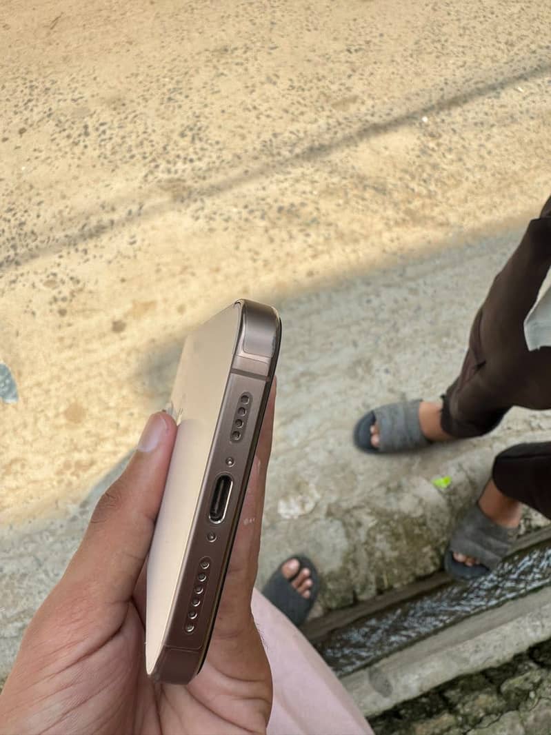 Apple iPhone 16 Pro Max 1