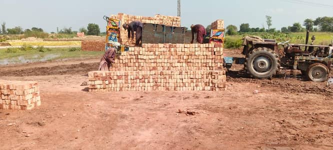 Special Awal Bricks 26000