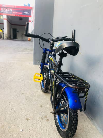 chicago bicycle for sale kids