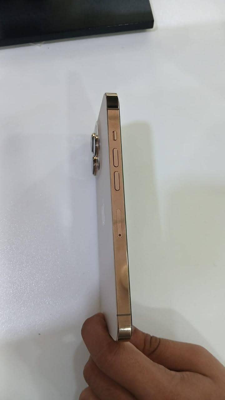 Apple iPhone 13 Pro 3