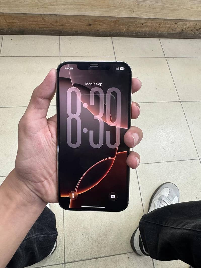 Apple iPhone 12 Pro Max 5