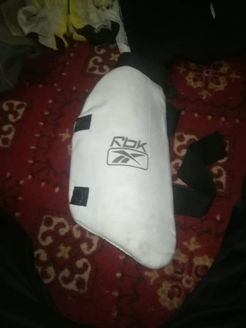 cricket kit 1