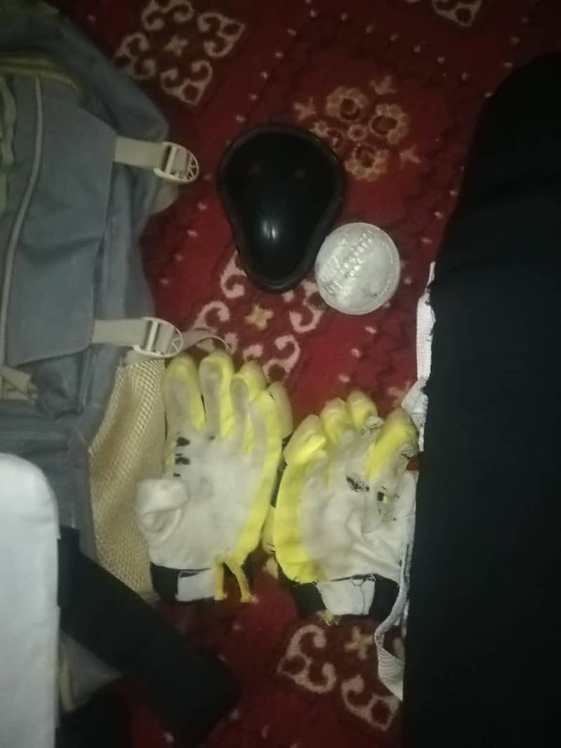 cricket kit 2
