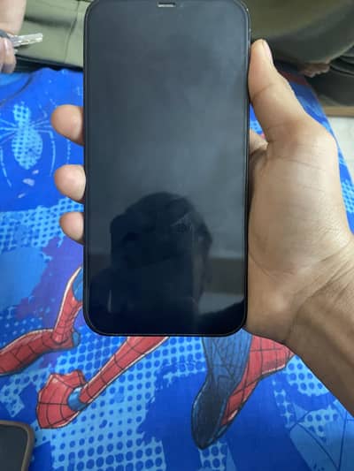 Apple iPhone 12 Pro Max
