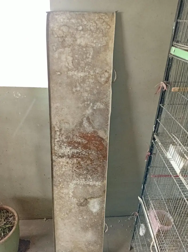 10 portion Jahangir cage — photo 2