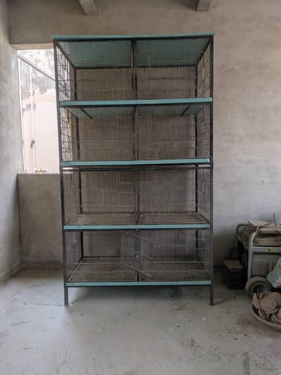 birds cage