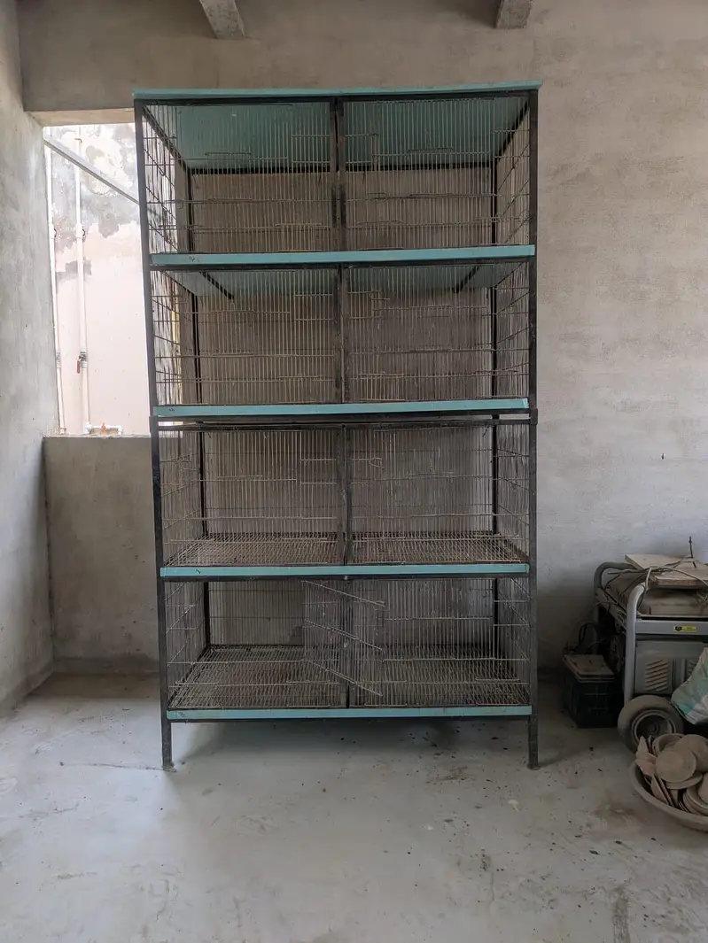 birds cage