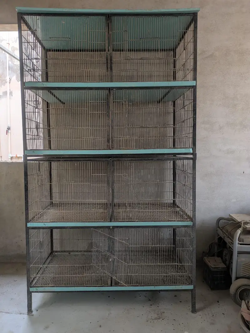 birds cage — photo 2