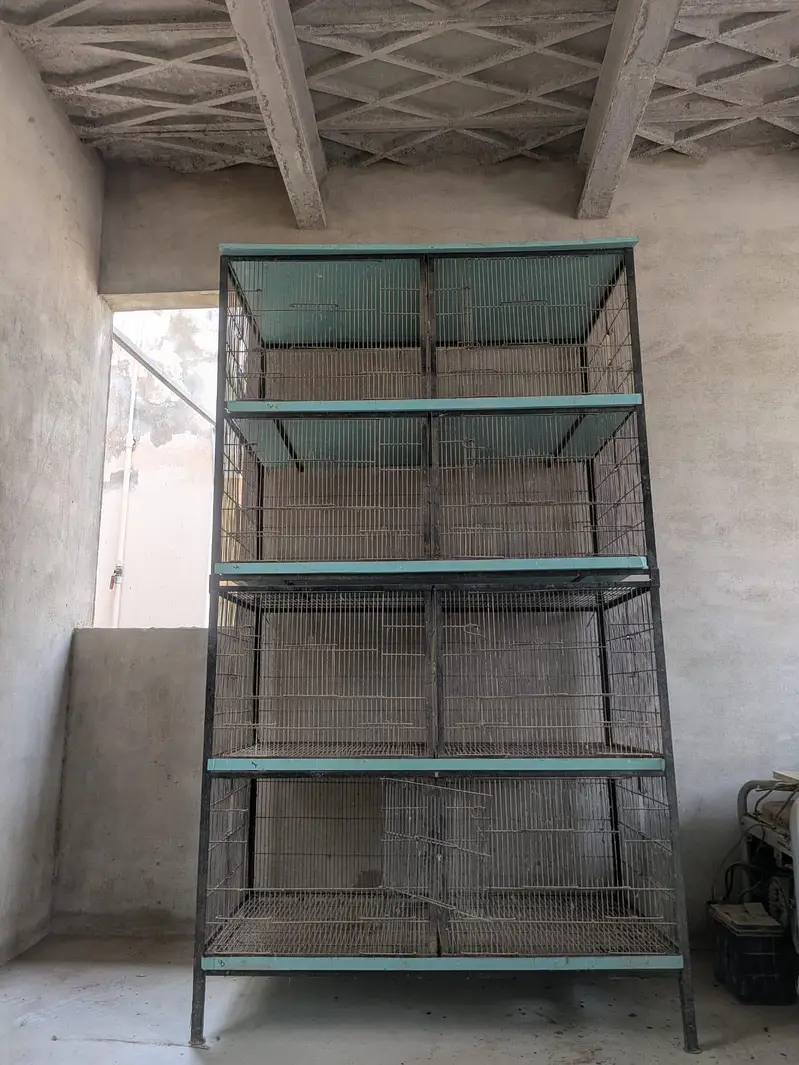 birds cage — photo 3