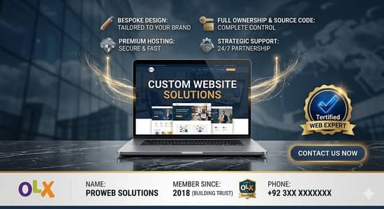 Professional Web Development Services | We Solutions