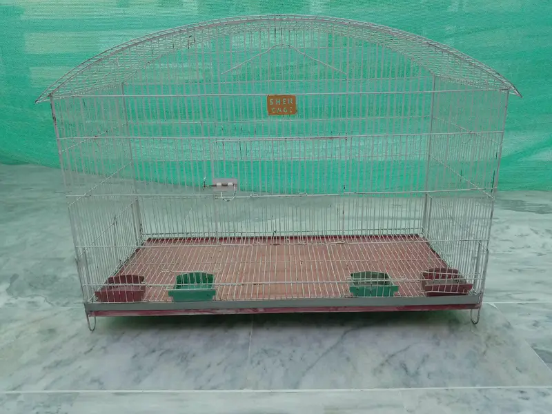 Cages for Birds