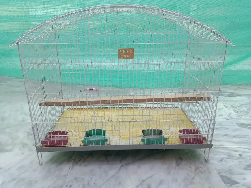Cages for Birds — photo 4