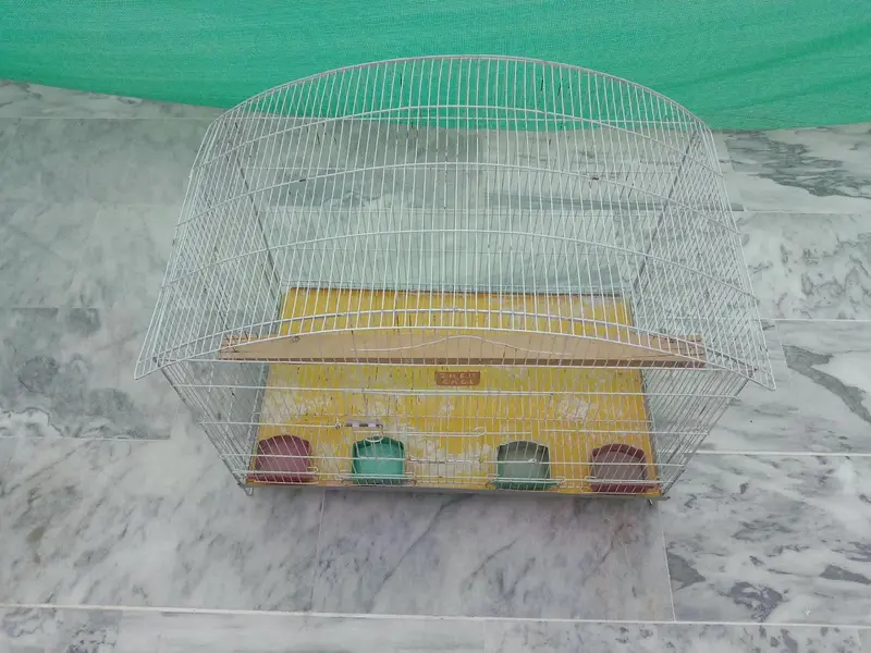 Cages for Birds — photo 5