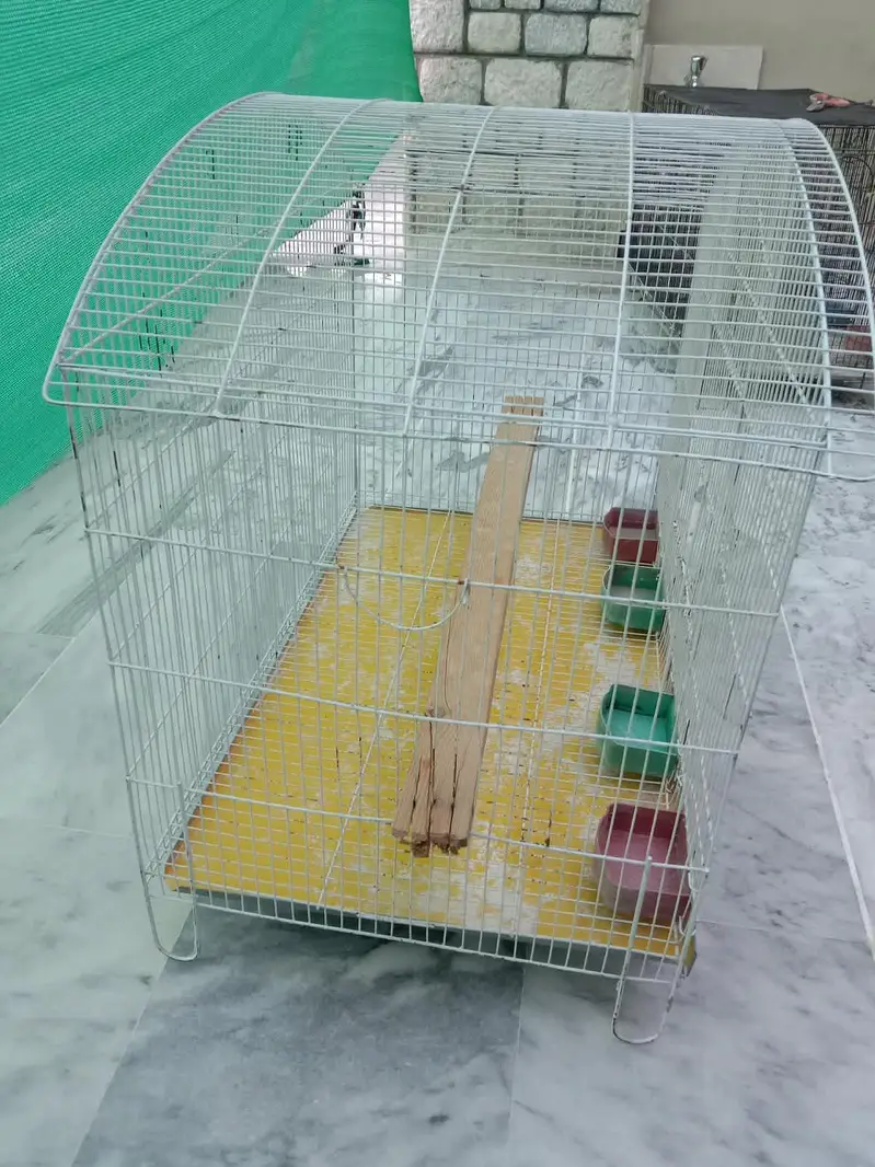 Cages for Birds — photo 6