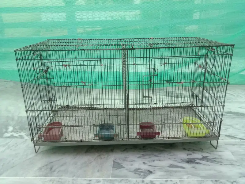 Cages for Birds — photo 7