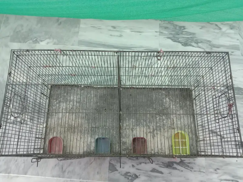 Cages for Birds — photo 8