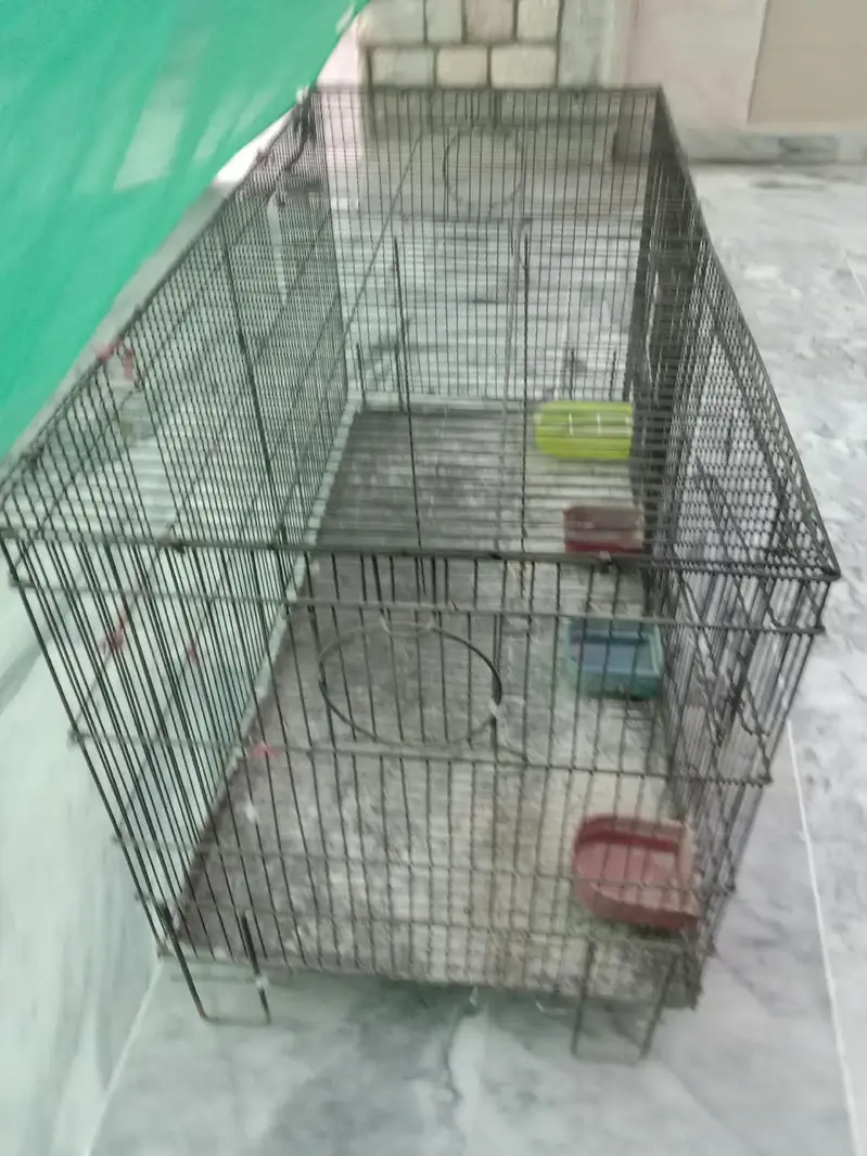 Cages for Birds — photo 9