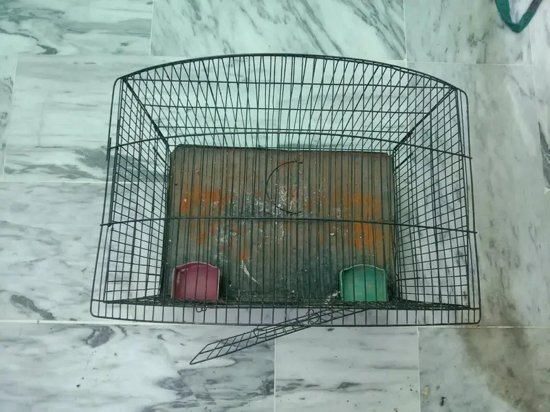 Cages for Birds — photo 11