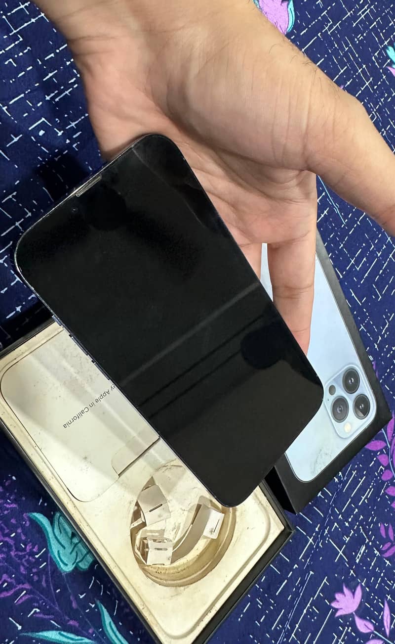 Apple iPhone 13 Pro Max 1