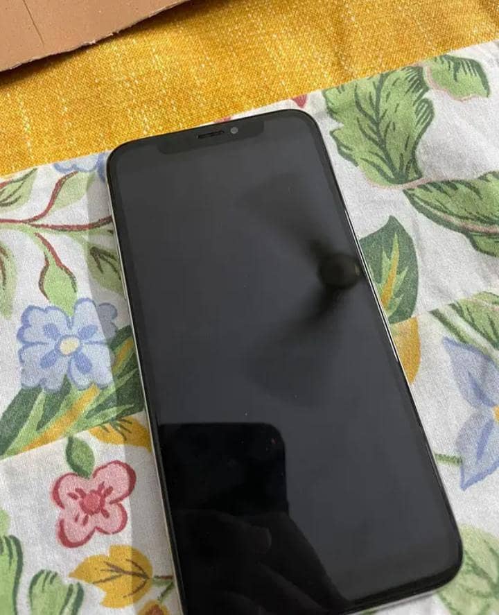 Apple iPhone X 1