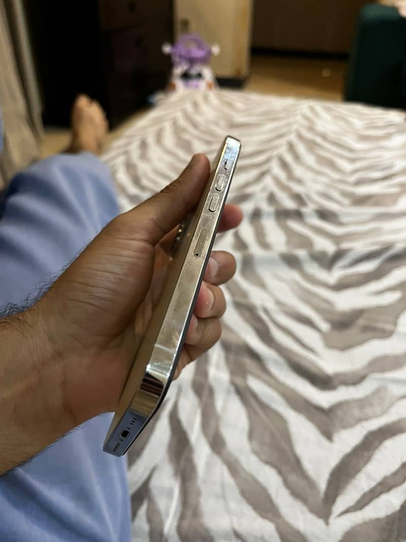 Apple iPhone 13 Pro 0