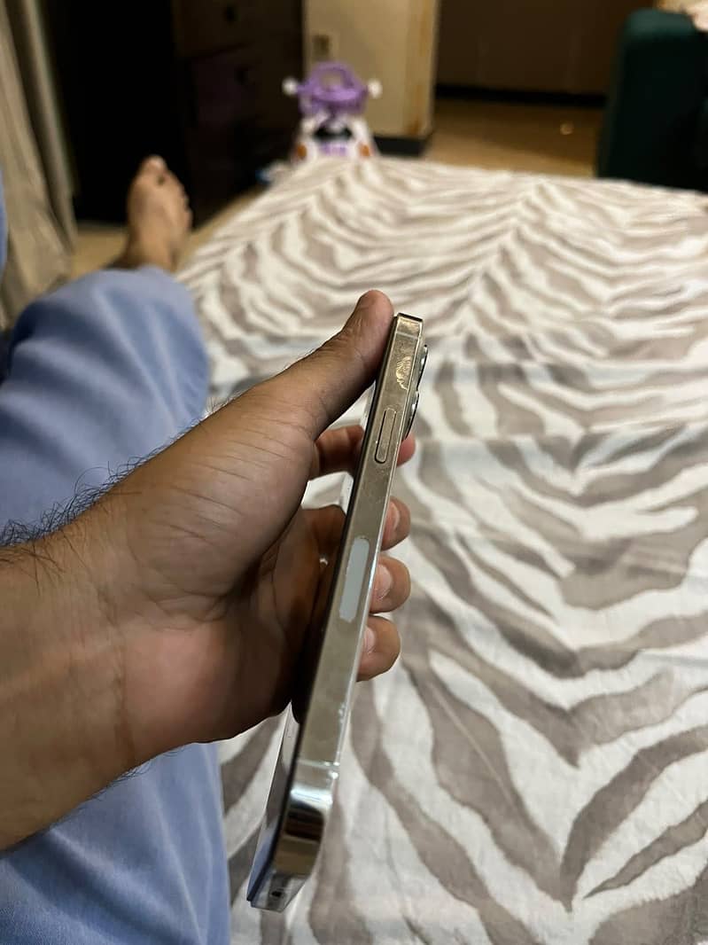 Apple iPhone 13 Pro 2
