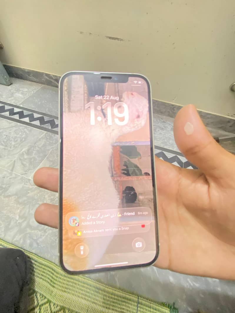 Apple iPhone 12 2