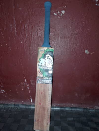 cricket bet