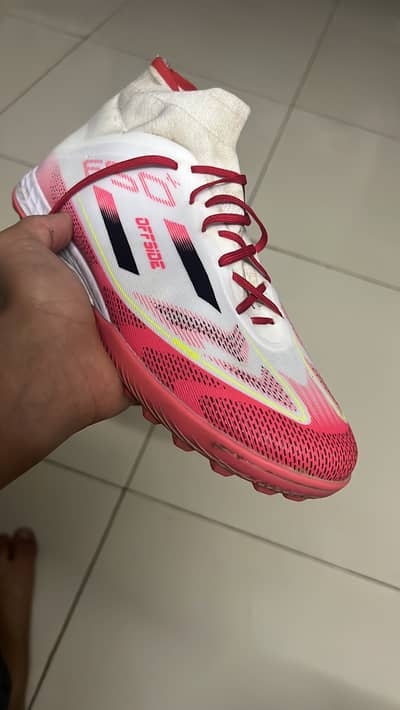 1 day use size 43