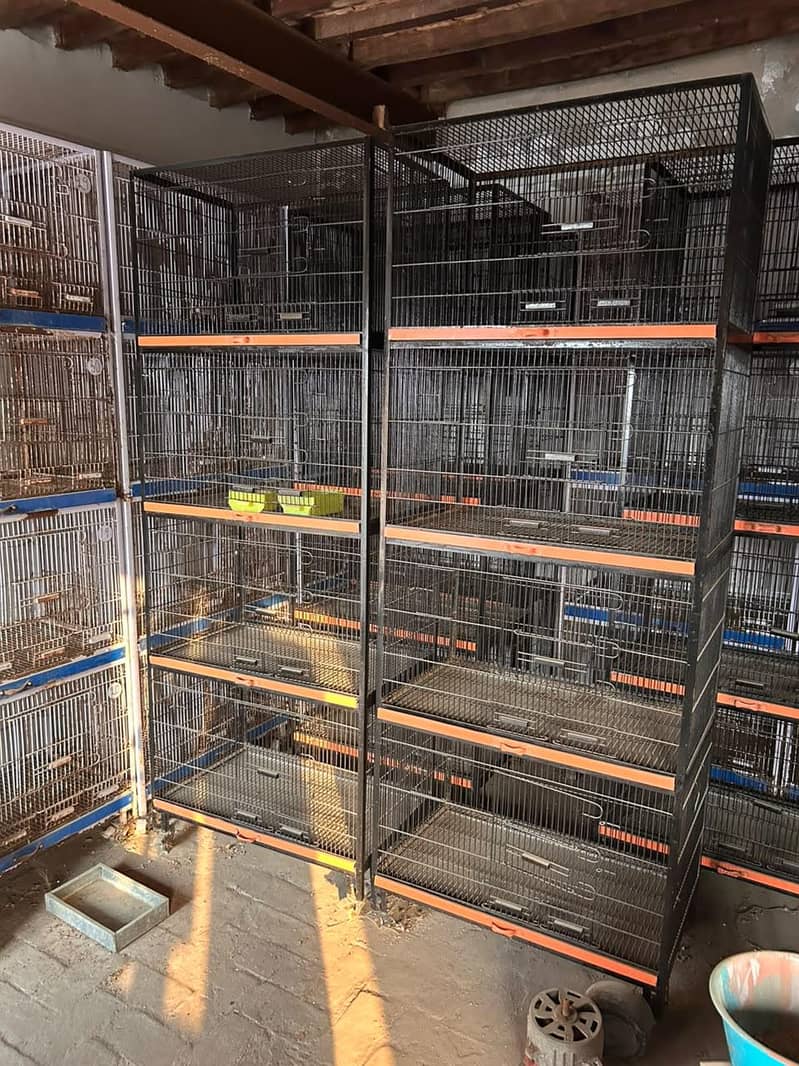 cages 0