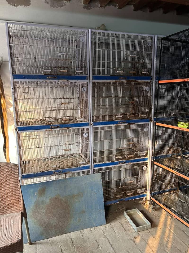 cages 1