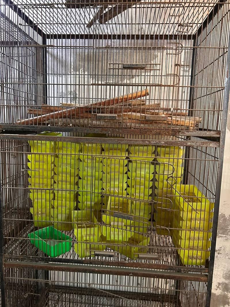cages 2