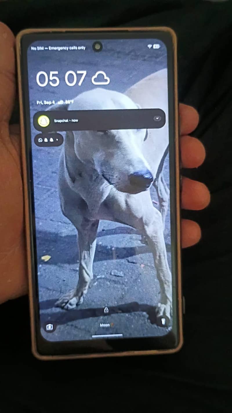 Google Pixel 6 3